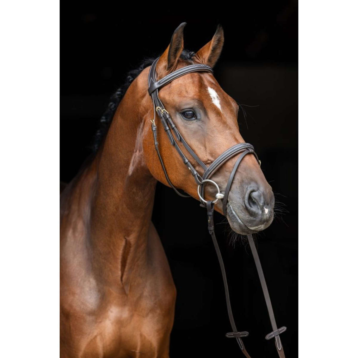 Kerbl Bridle Classic Classic Classic Brown