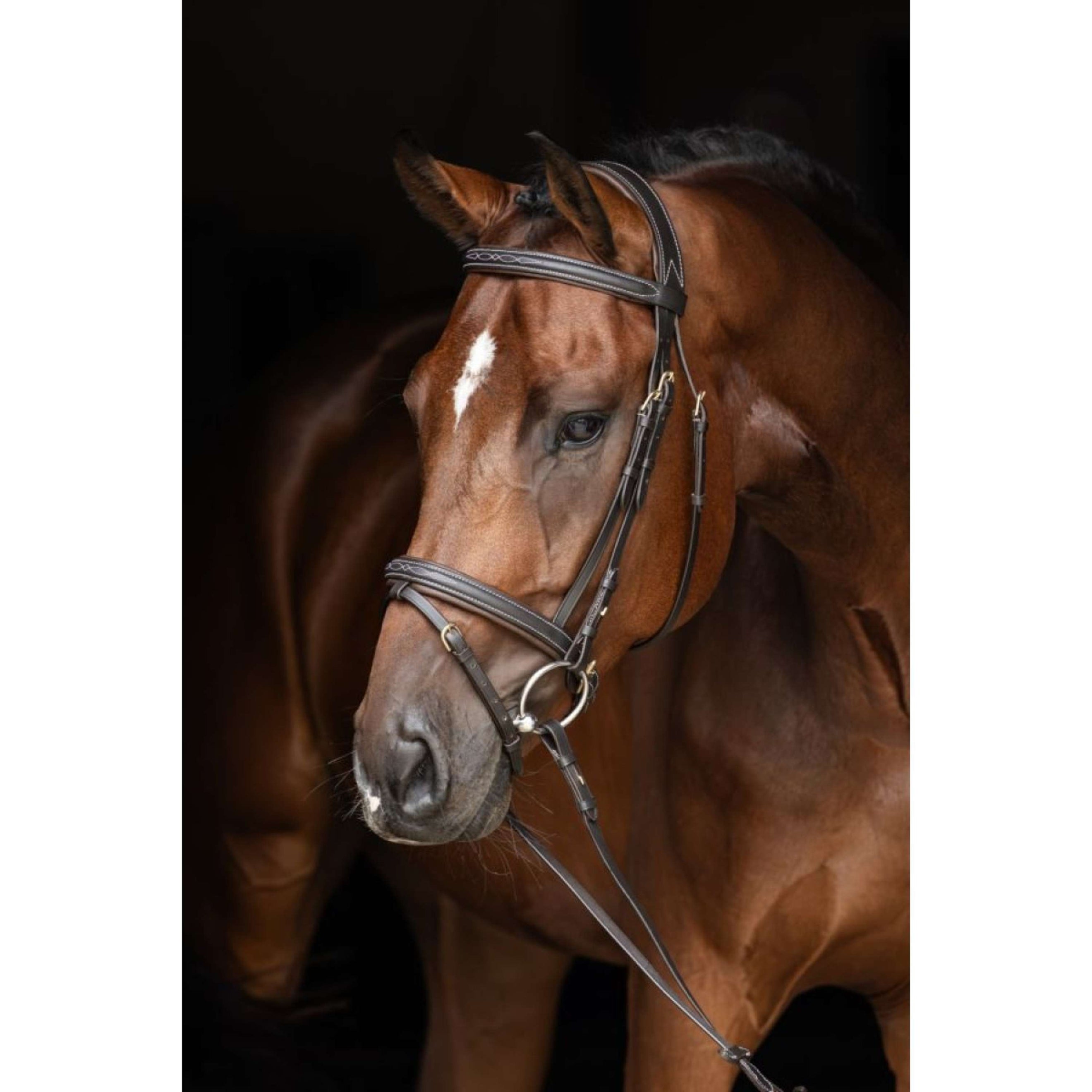 Kerbl Bridle Classic Classic Classic Brown