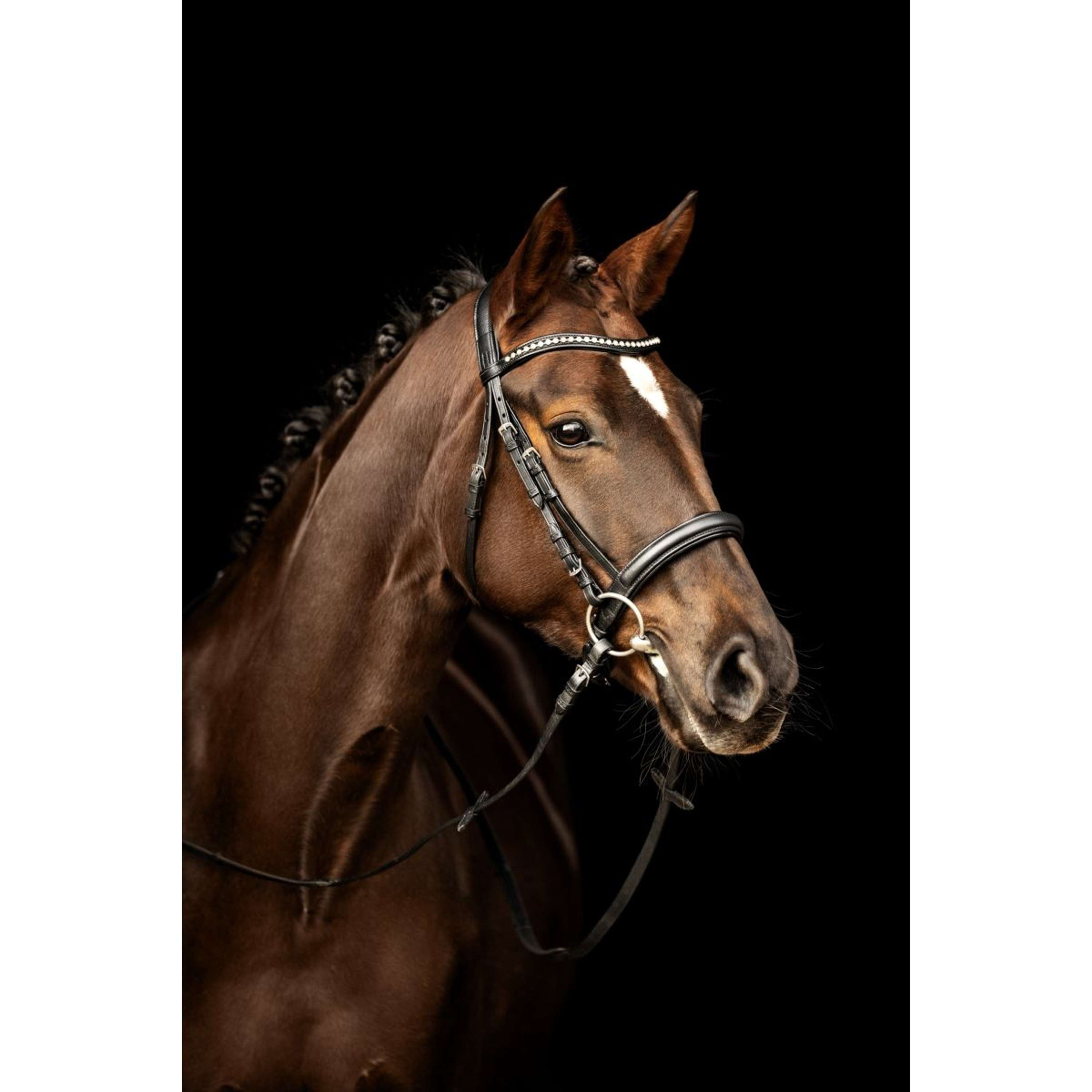 Kieffer Bridle Ultrasoft Sue With Crystals Black/White
