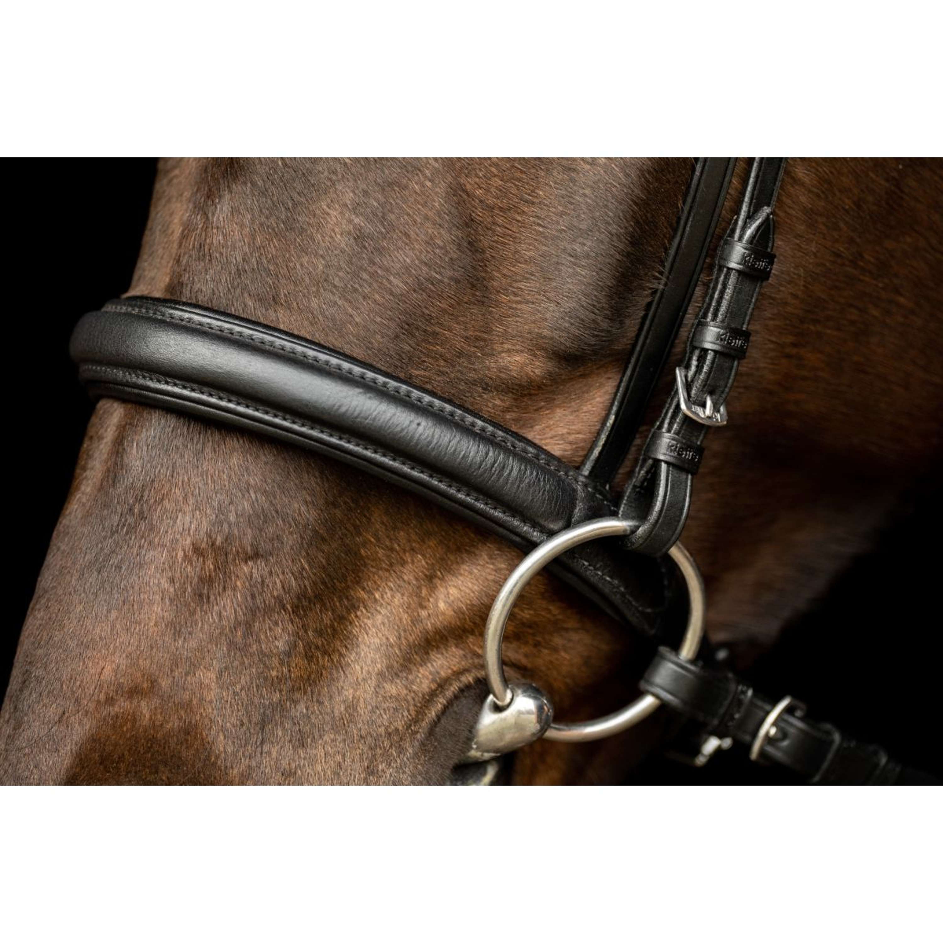 Kieffer Bridle Ultrasoft Sue With Crystals Black/White