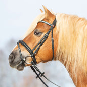 Kieffer Bridle Ultrasoft Haflinger Black/White Stones