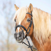 Kieffer Bridle Ultrasoft Haflinger Black/White Stones