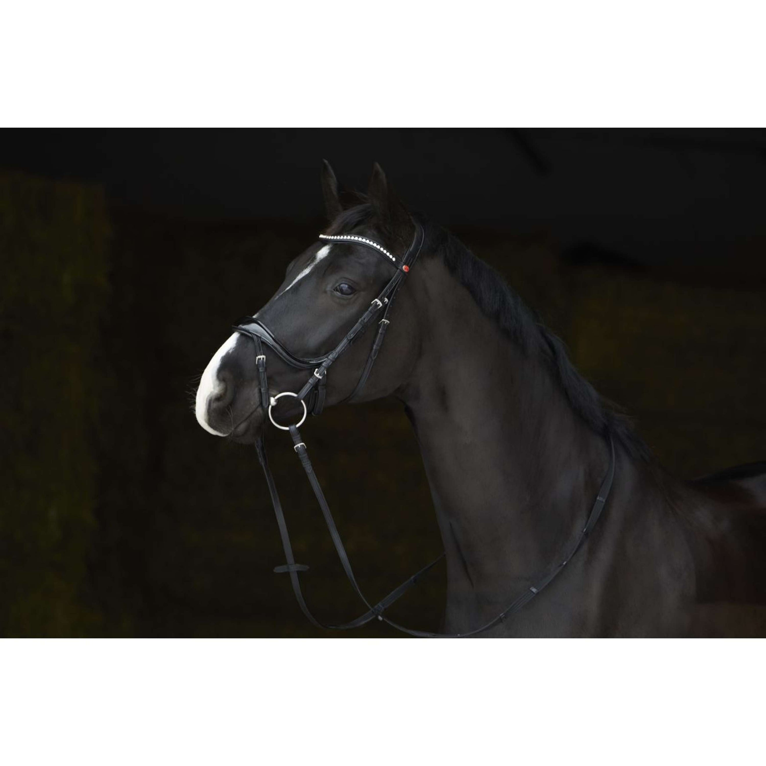 Kieffer Bridle Amy Shine Black