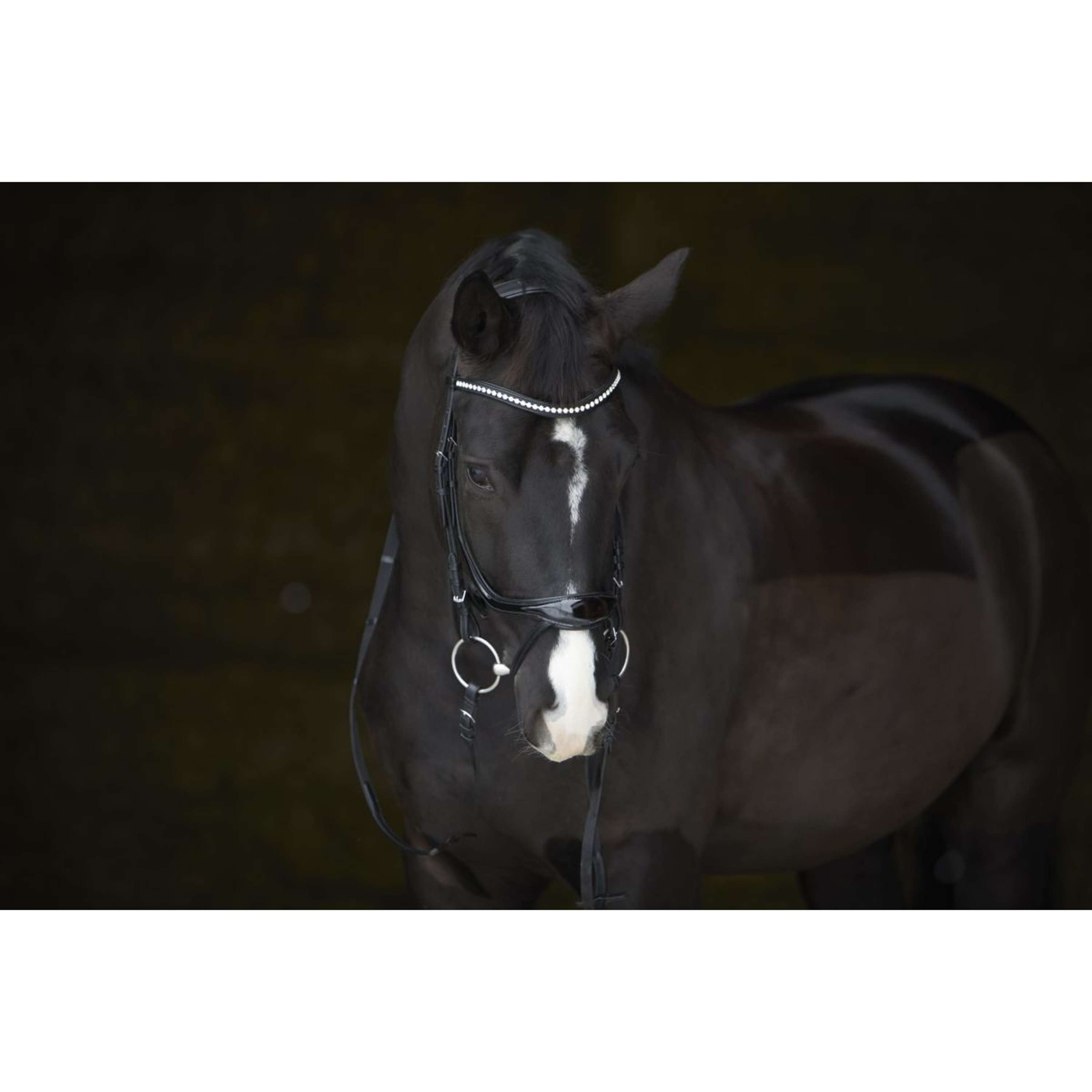 Kieffer Bridle Amy Shine Black
