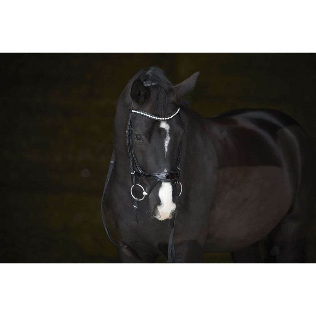 Kieffer Bridle Amy Shine Black