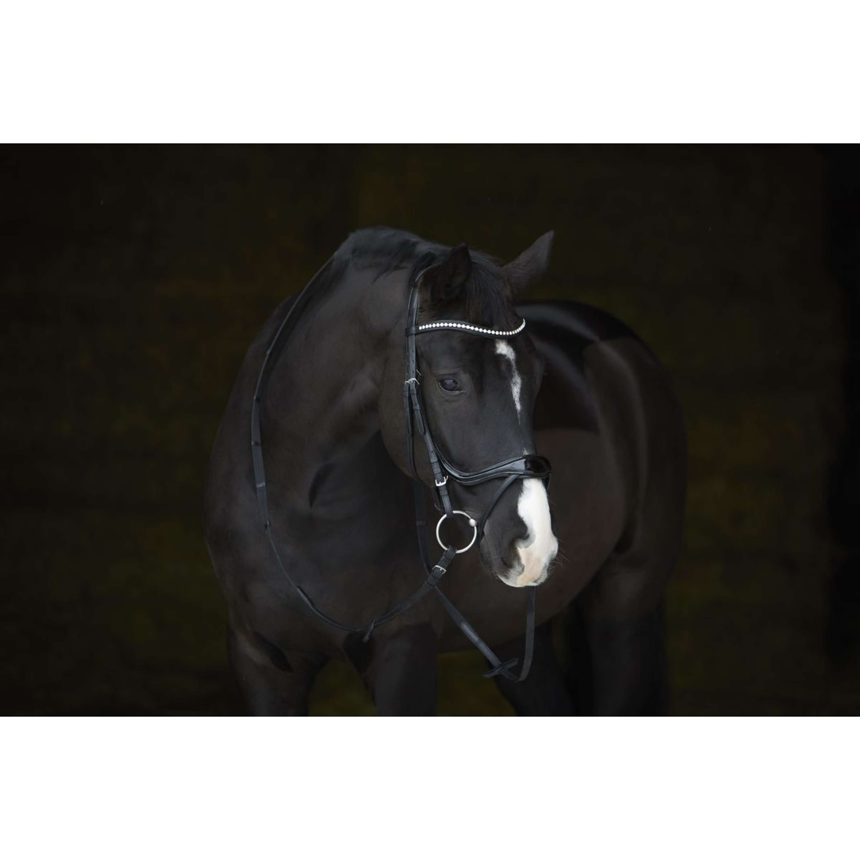 Kieffer Bridle Amy Shine Black