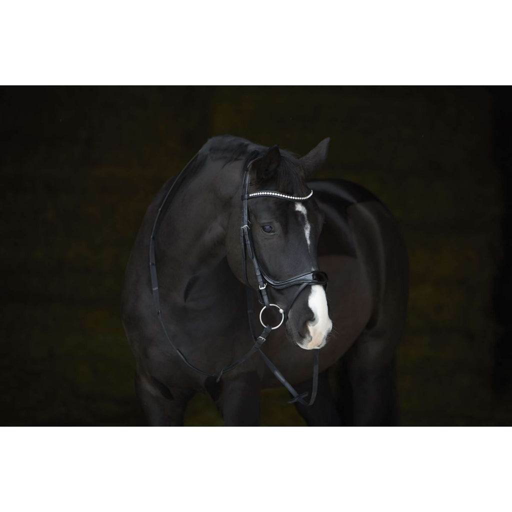 Kieffer Bridle Amy Shine Black