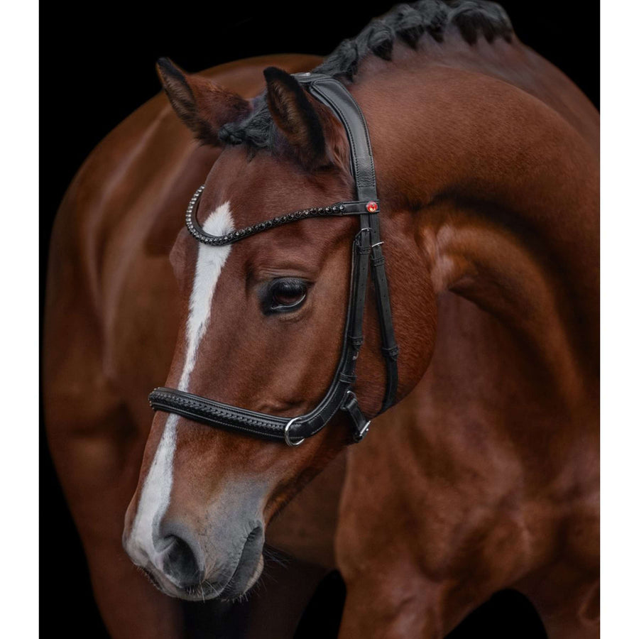 Kieffer Bridle Ultrasoft Ava 2-in-1 Black