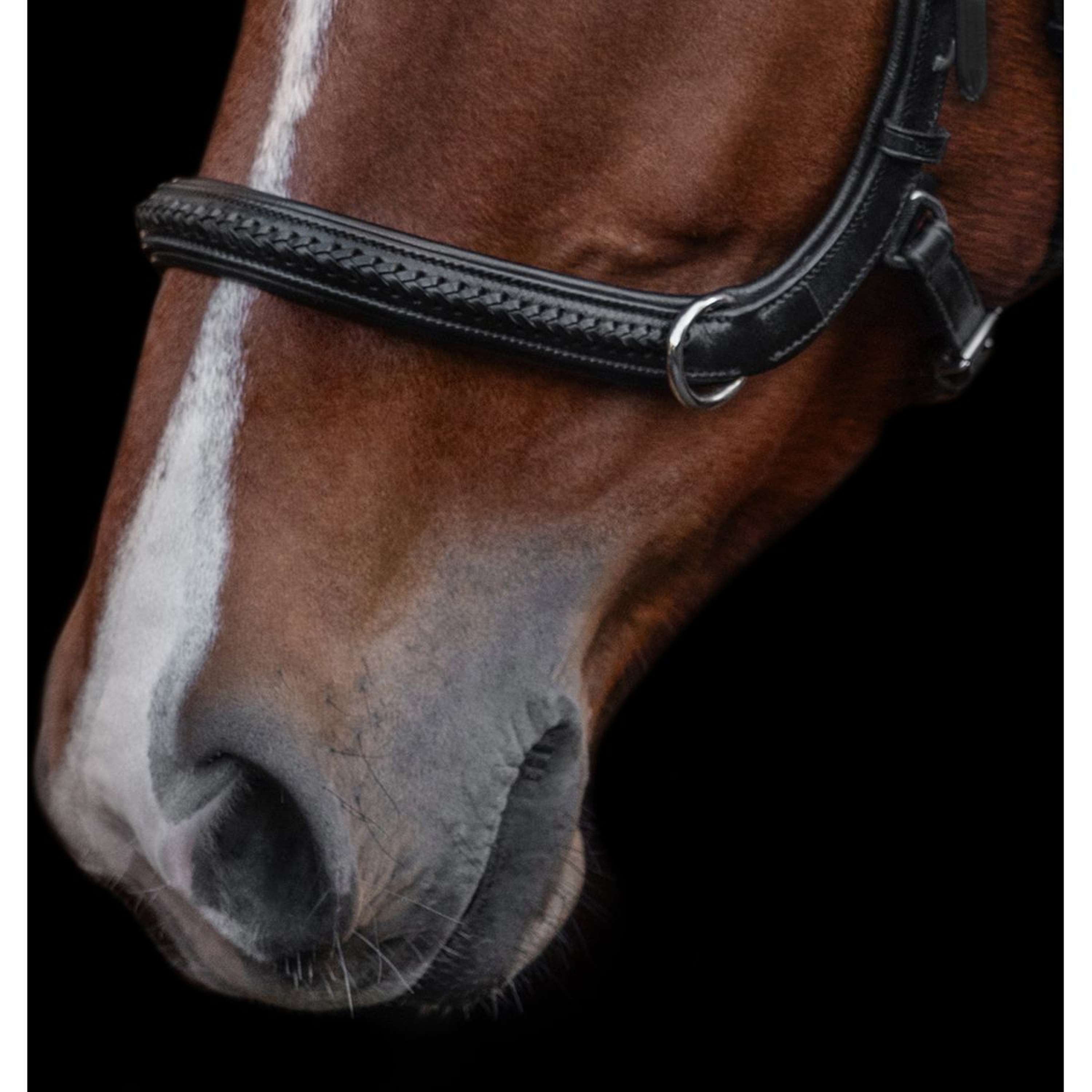 Kieffer Bridle Ultrasoft Ava 2-in-1 Black