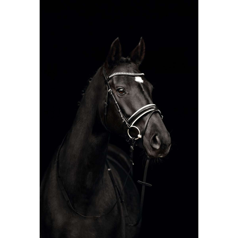 Kieffer Snaffle Bridle Comfort Paris English Noseband with Flash strap, Black Lined, Lak, 35mm Black/White