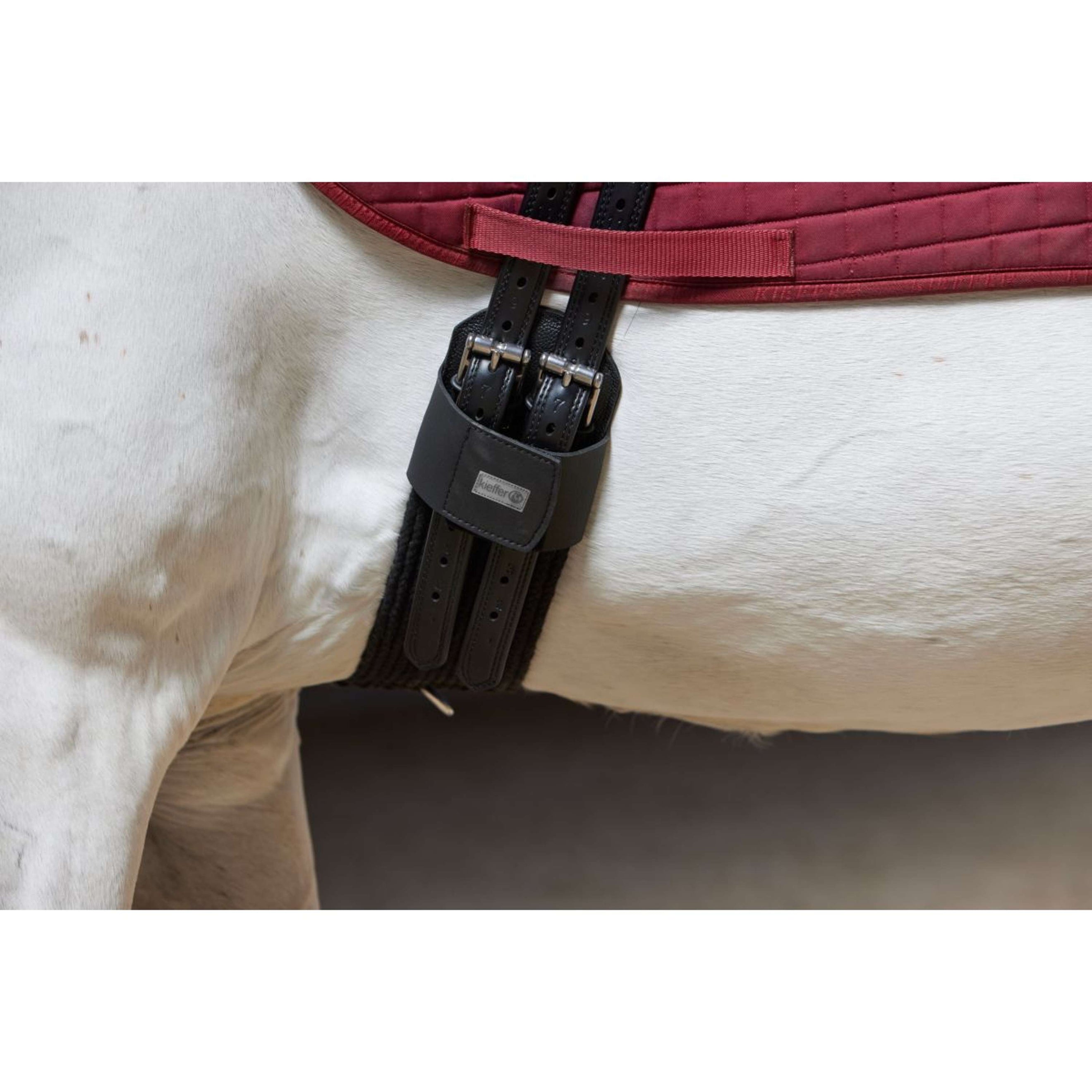 Kieffer Girth Cotton Contour Black