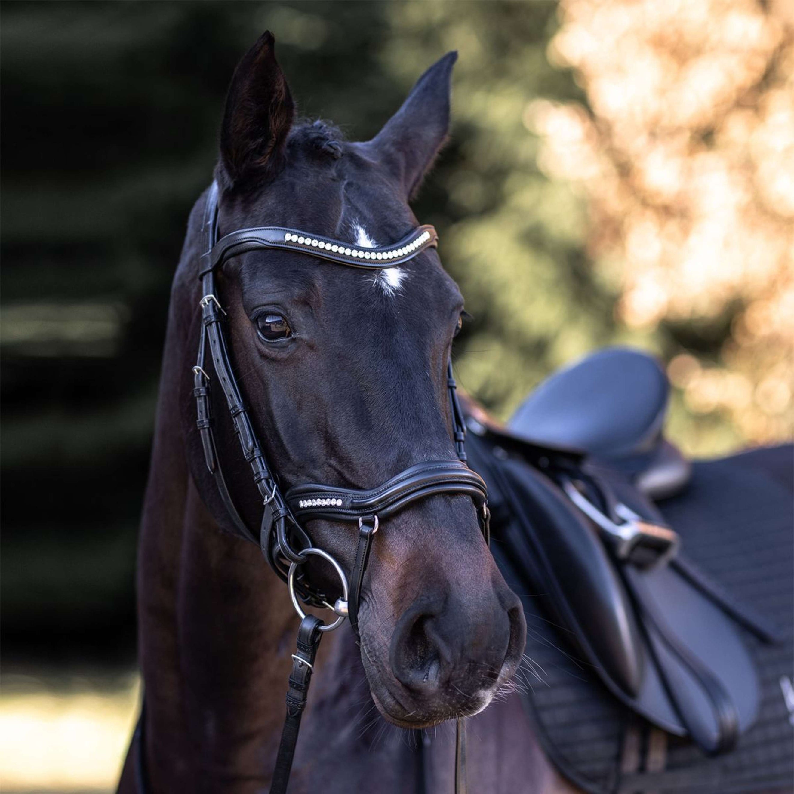 Kieffer Bridle Ultrasoft Luna Black