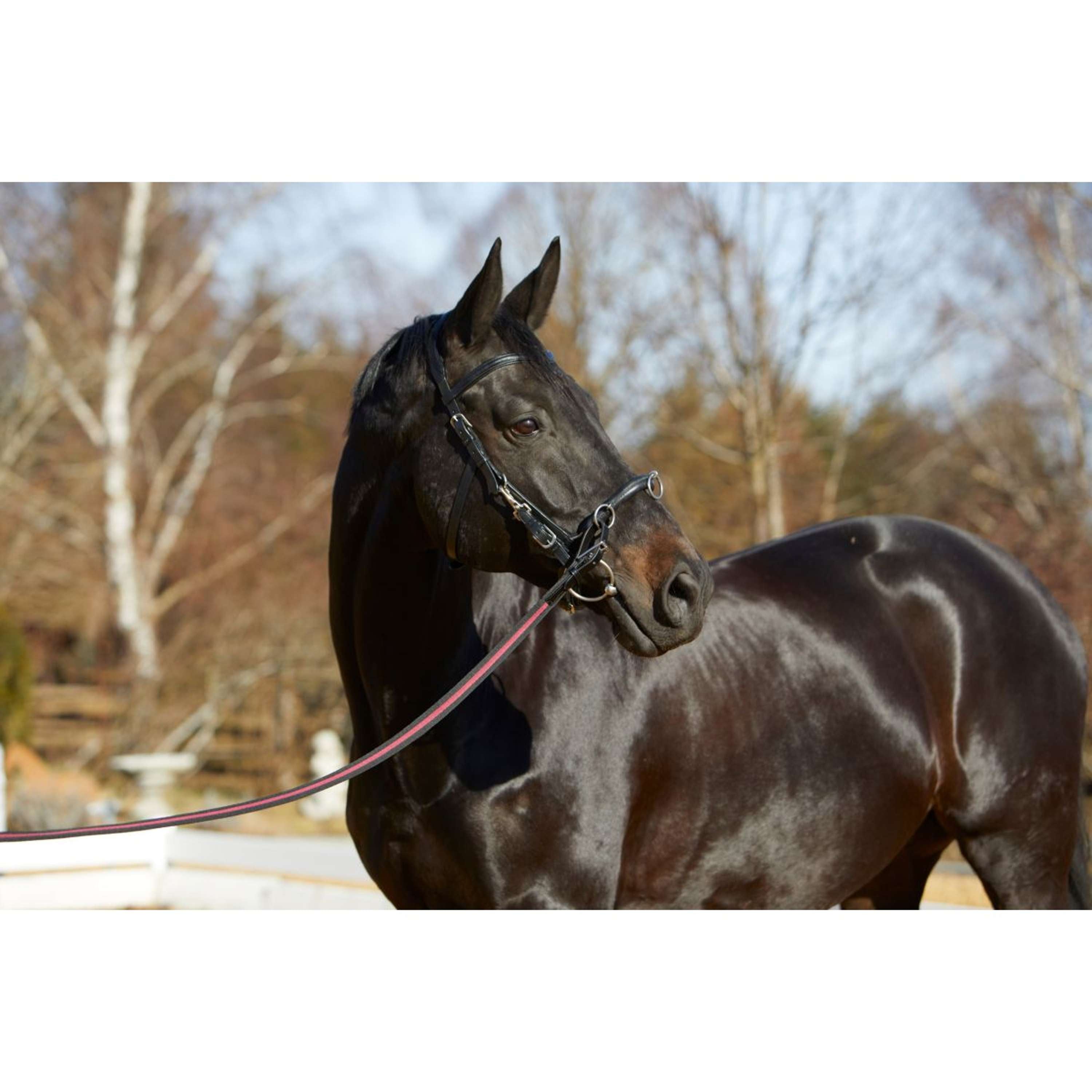Kieffer Cavesson Utrasoft Black