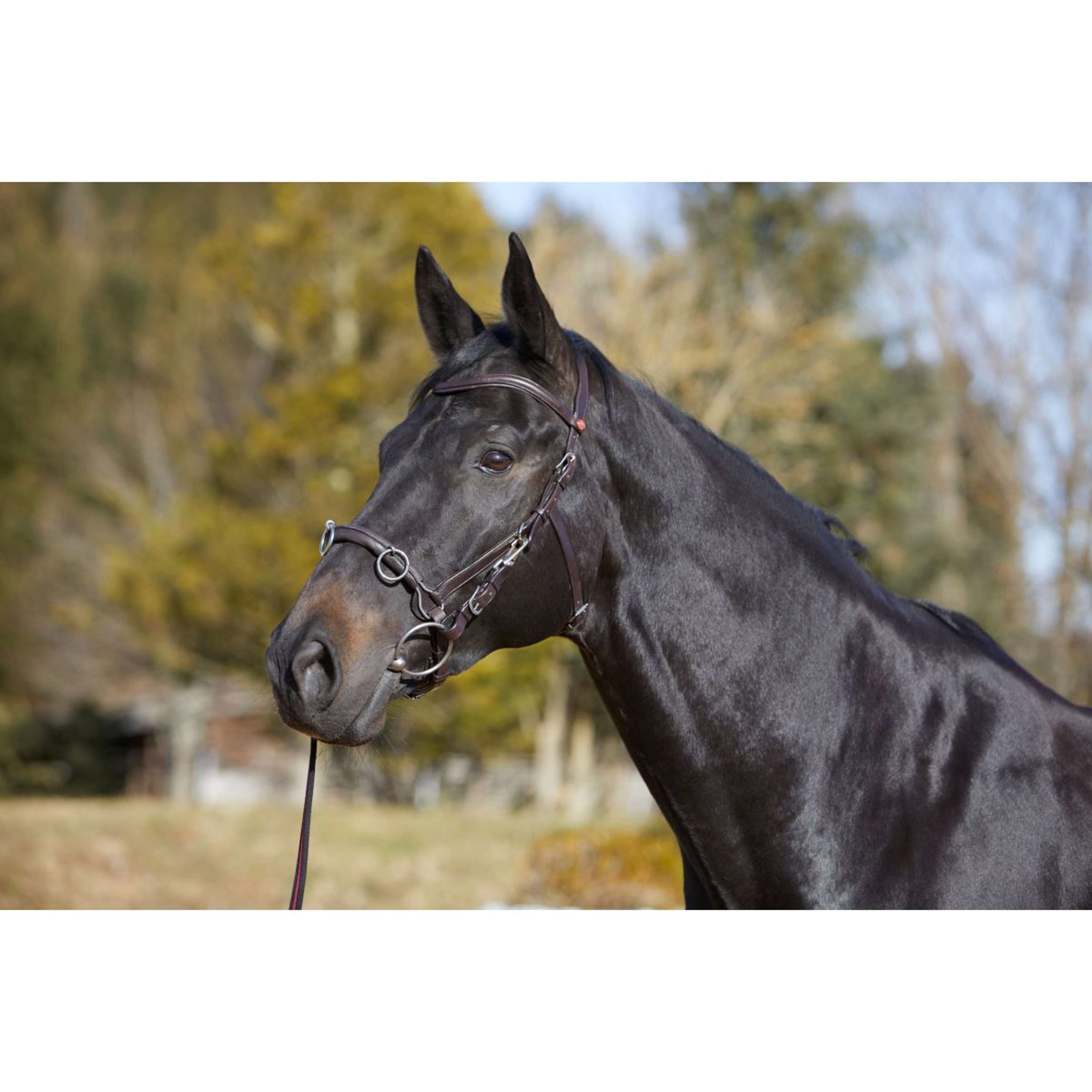 Kieffer Cavesson Utrasoft Black