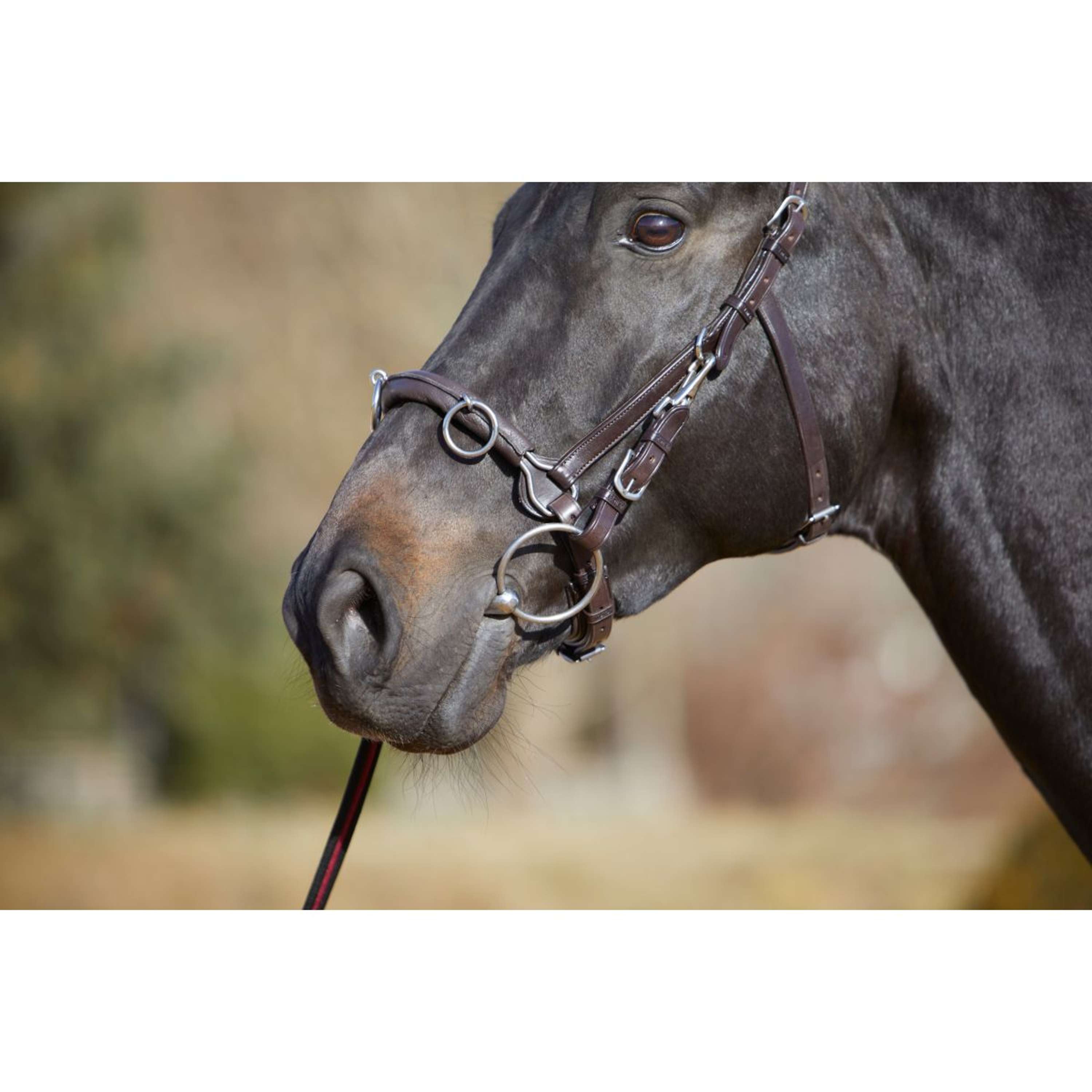 Kieffer Cavesson Utrasoft Black