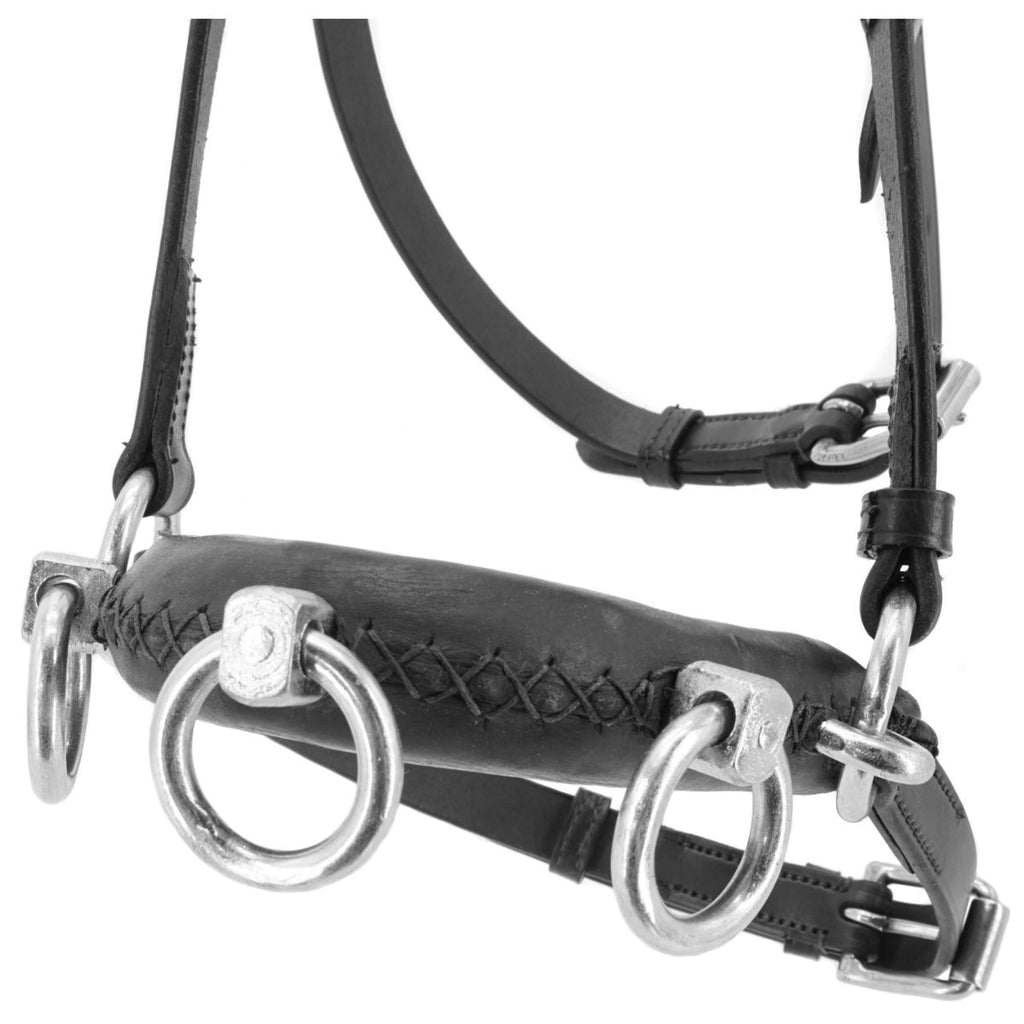 Kieffer Rig Kieffer Cavesson Perfect Black | Agradi.com
