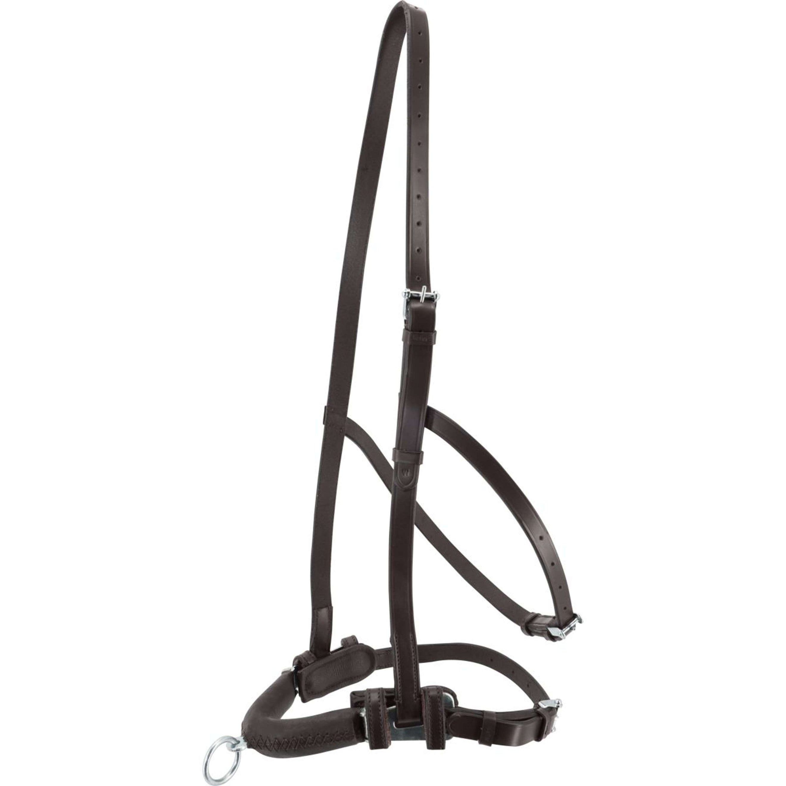 Kieffer Cavesson Anja Beran Black