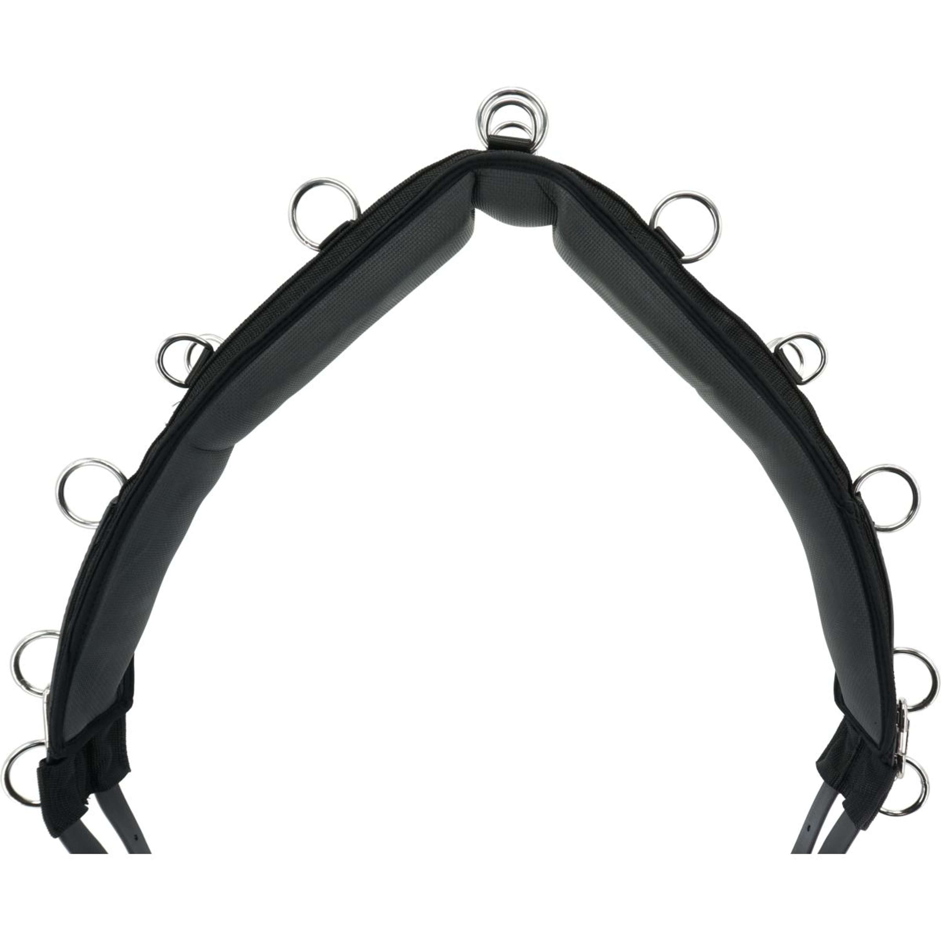 Kieffer Lunging Girth Black