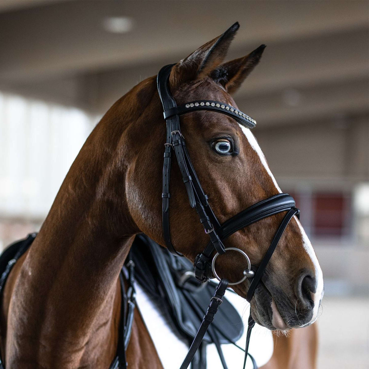 Kieffer Bridle Essentials Xia Black