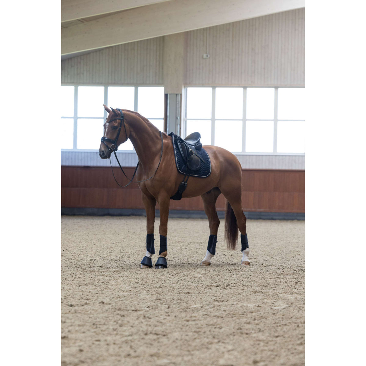 Kingsland Dressage Boots KLLucca Navy