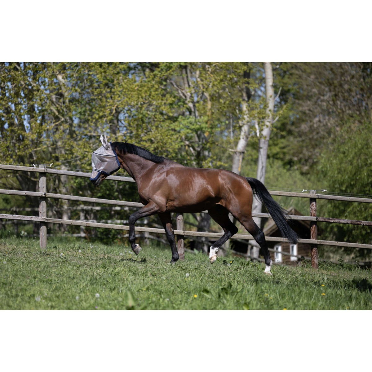 Kingsland Fly Mask KLLando with Ears Rainy Day