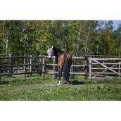 Kingsland Fly Mask KLLando with Ears Rainy Day