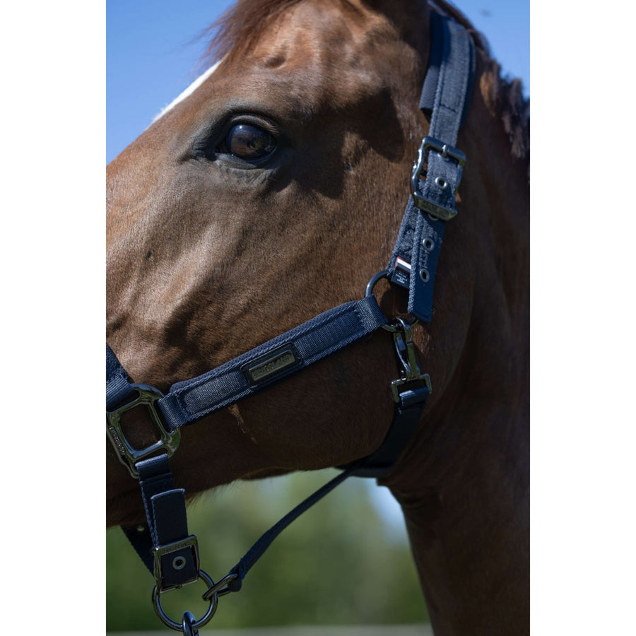 Kingsland Head Collar Set KLLucca Navy