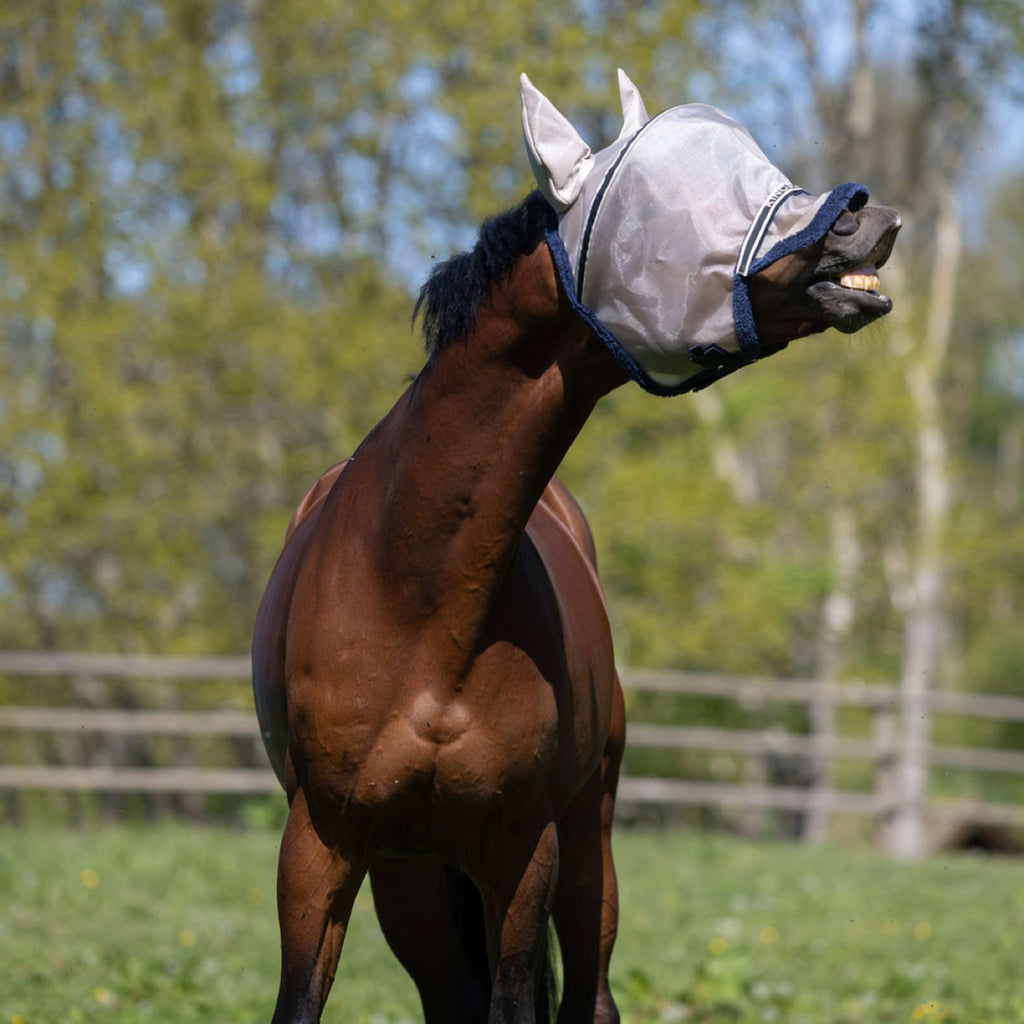 Kingsland Fly Mask KLLando with Ears Rainy Day