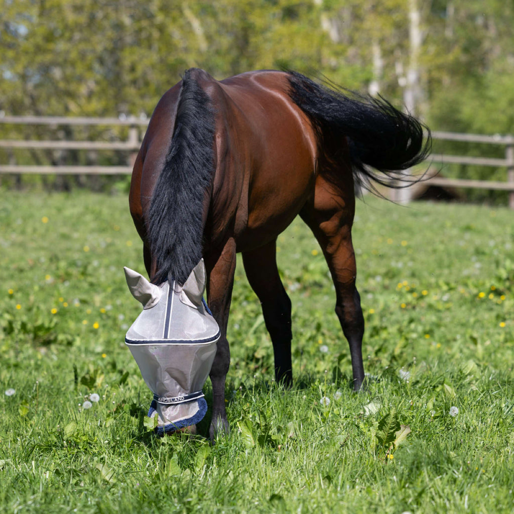 Kingsland Fly Mask KLLando with Ears Rainy Day