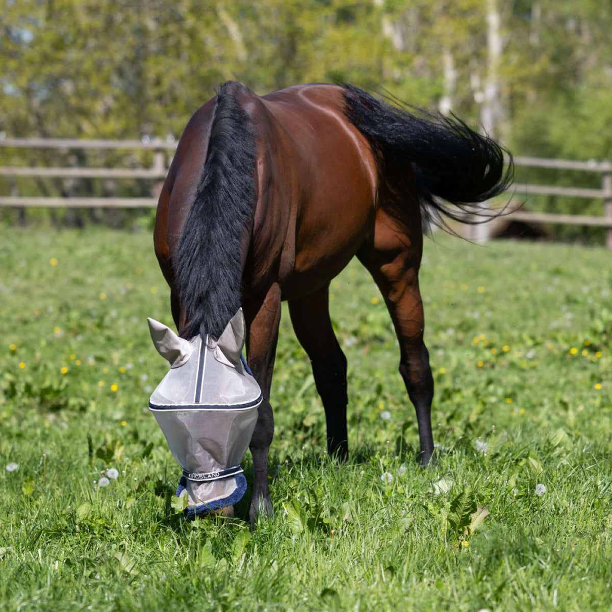 Kingsland Fly Mask KLLando with Ears Rainy Day
