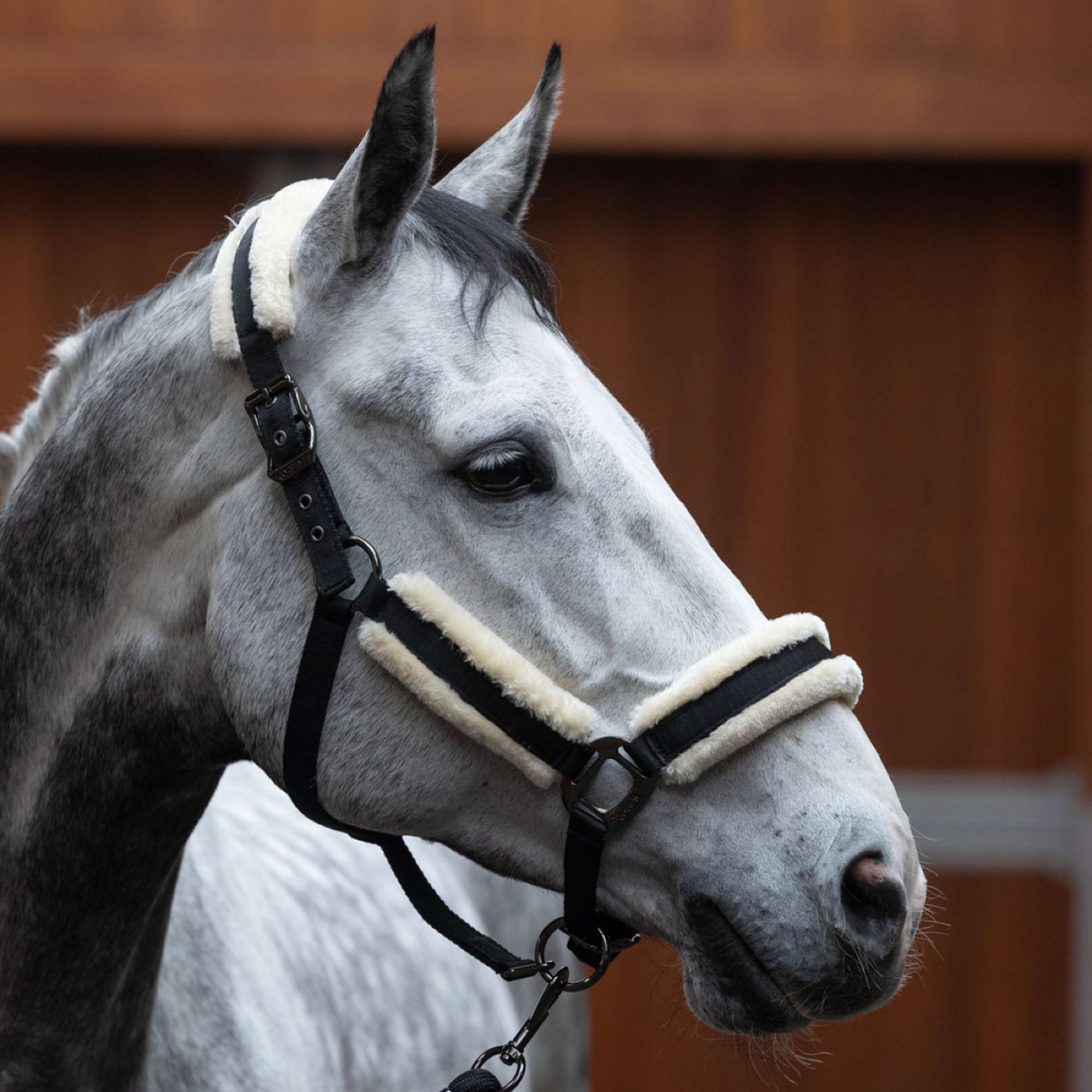 Kingsland Head Collar Set KLLexie with Fur Black