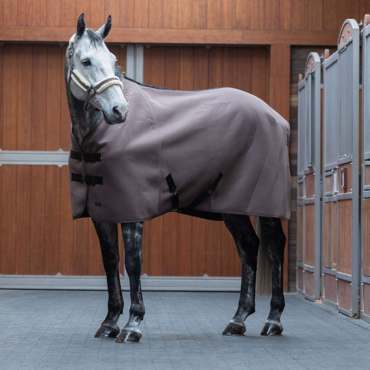 Kingsland Cooler Blanket KLLexie Brown Iron