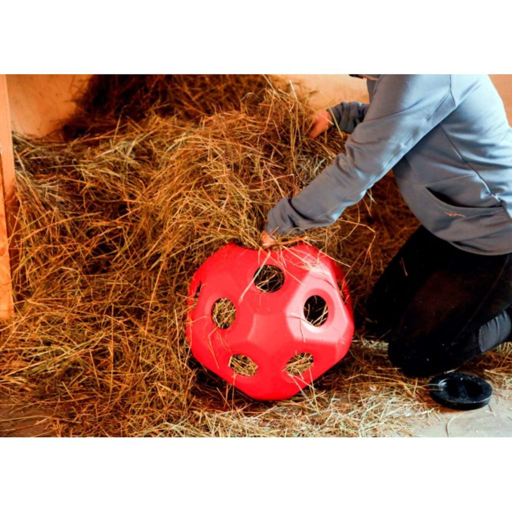 Kerbl Slowfeeder Ball HeuBoy Red