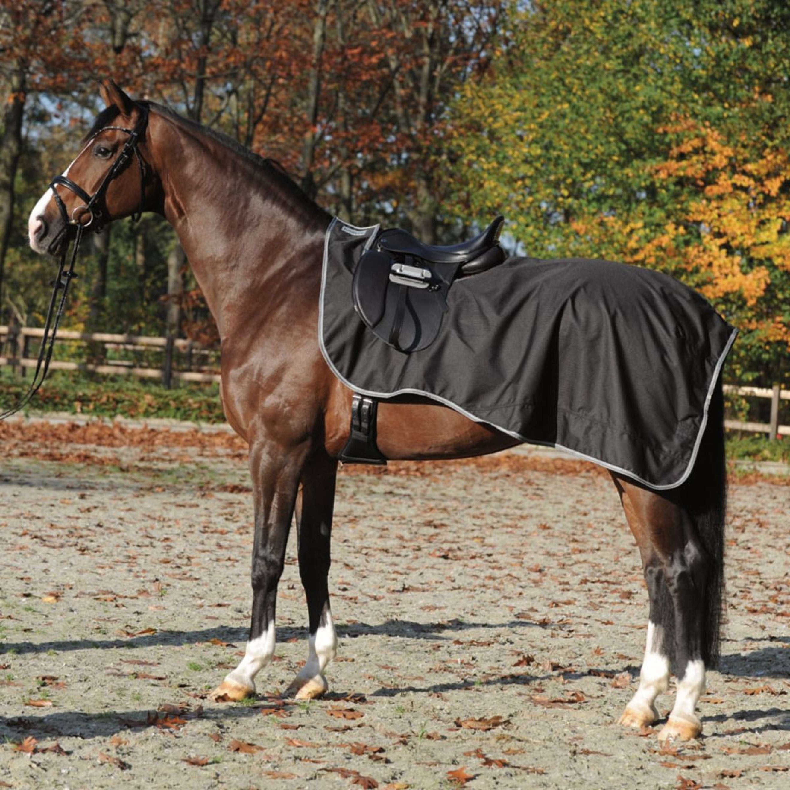 Kavalkade Exercise Rug Outdoor Black