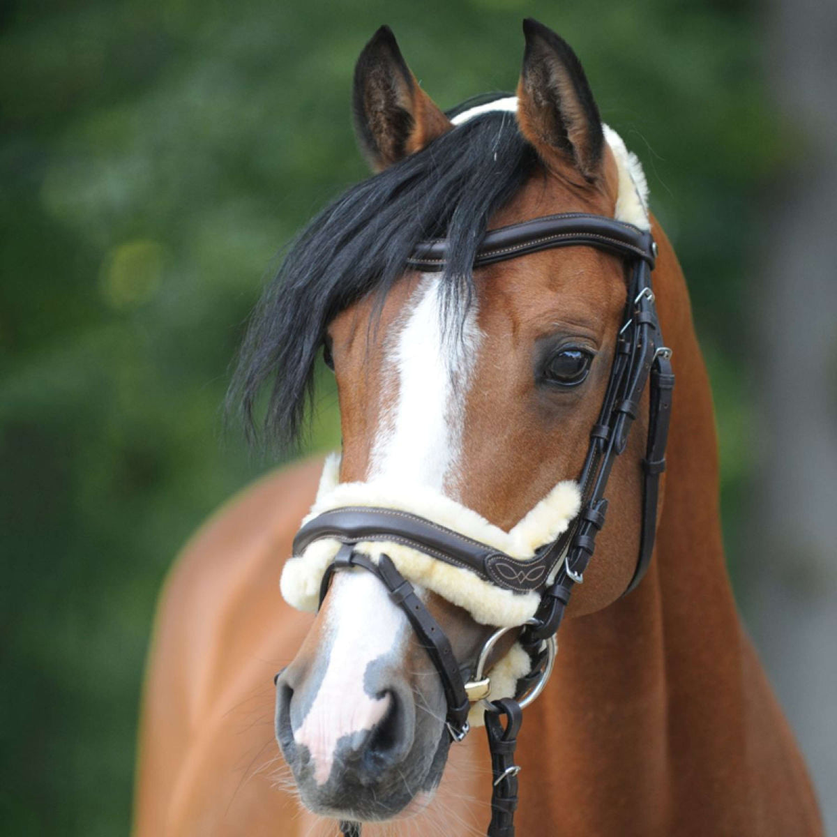 Kavalkade Snaffle Bridle Ivy Lammfell Black