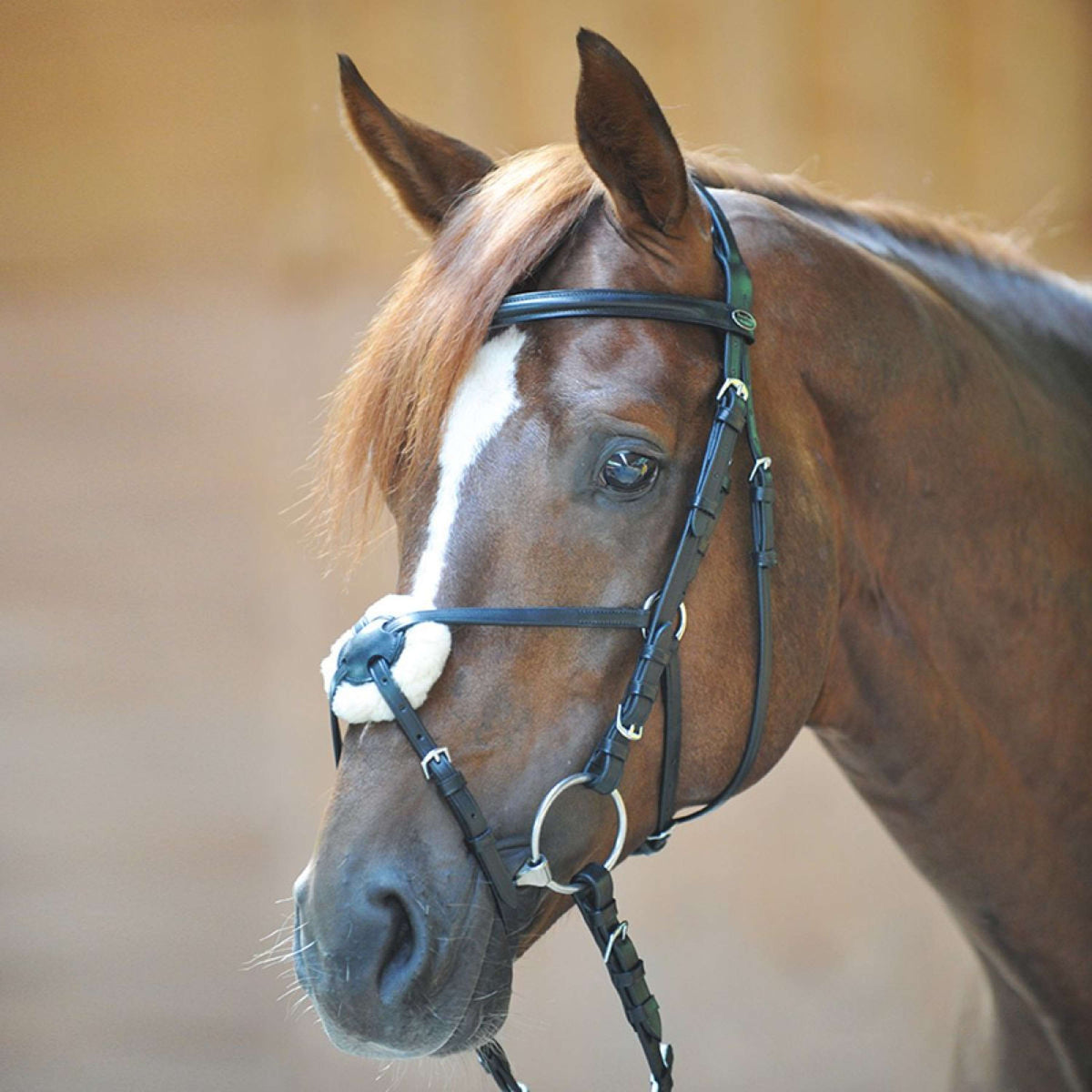 Kavalkade Snaffle Bridle Carlos Leather Black