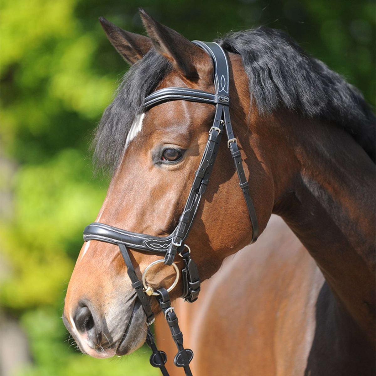 Kavalkade Snaffle Bridle Ivy IR Black