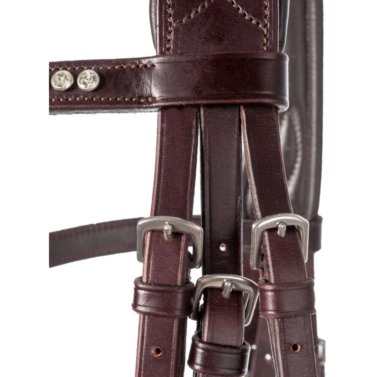 Kavalkade Bridle Charlotte DR Brown/Brown