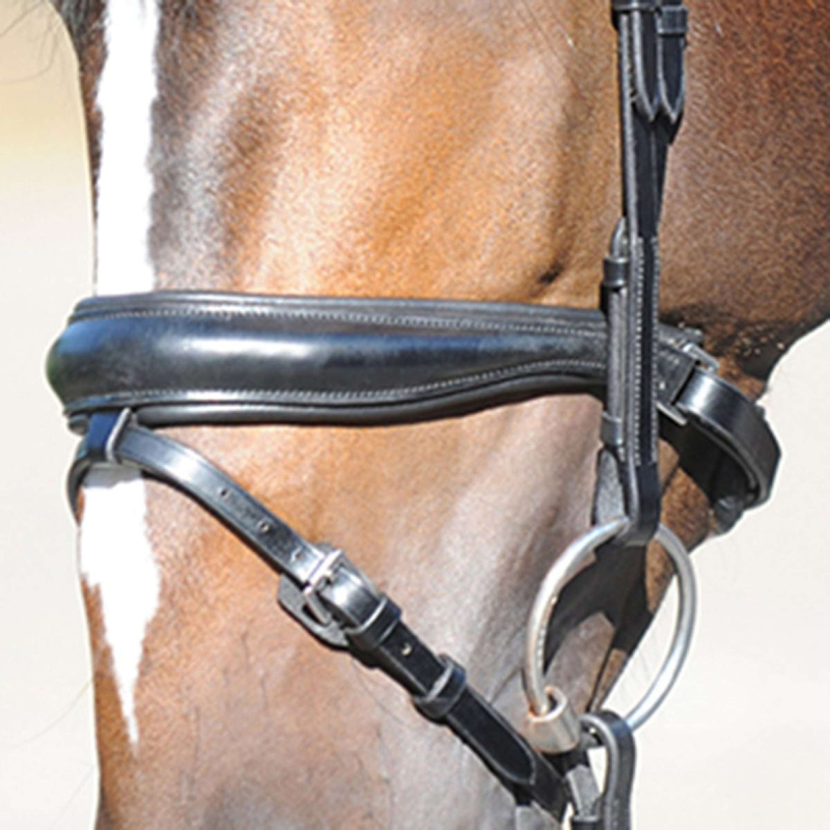 Kavalkade Noseband Charlotte Combined Black