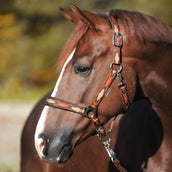 Kavalkade Halter Classic Raute Brown/Light Brown/Orange