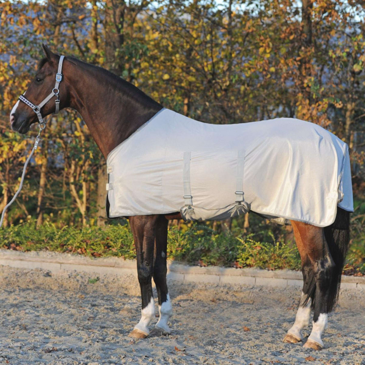 Kavalkade Fly Rug with a Removable Hood Grey