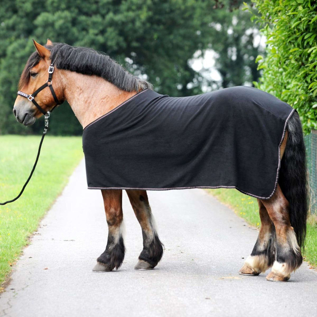 Kavalkade Fleece Cooler Kaltblut-Ecoline Navy