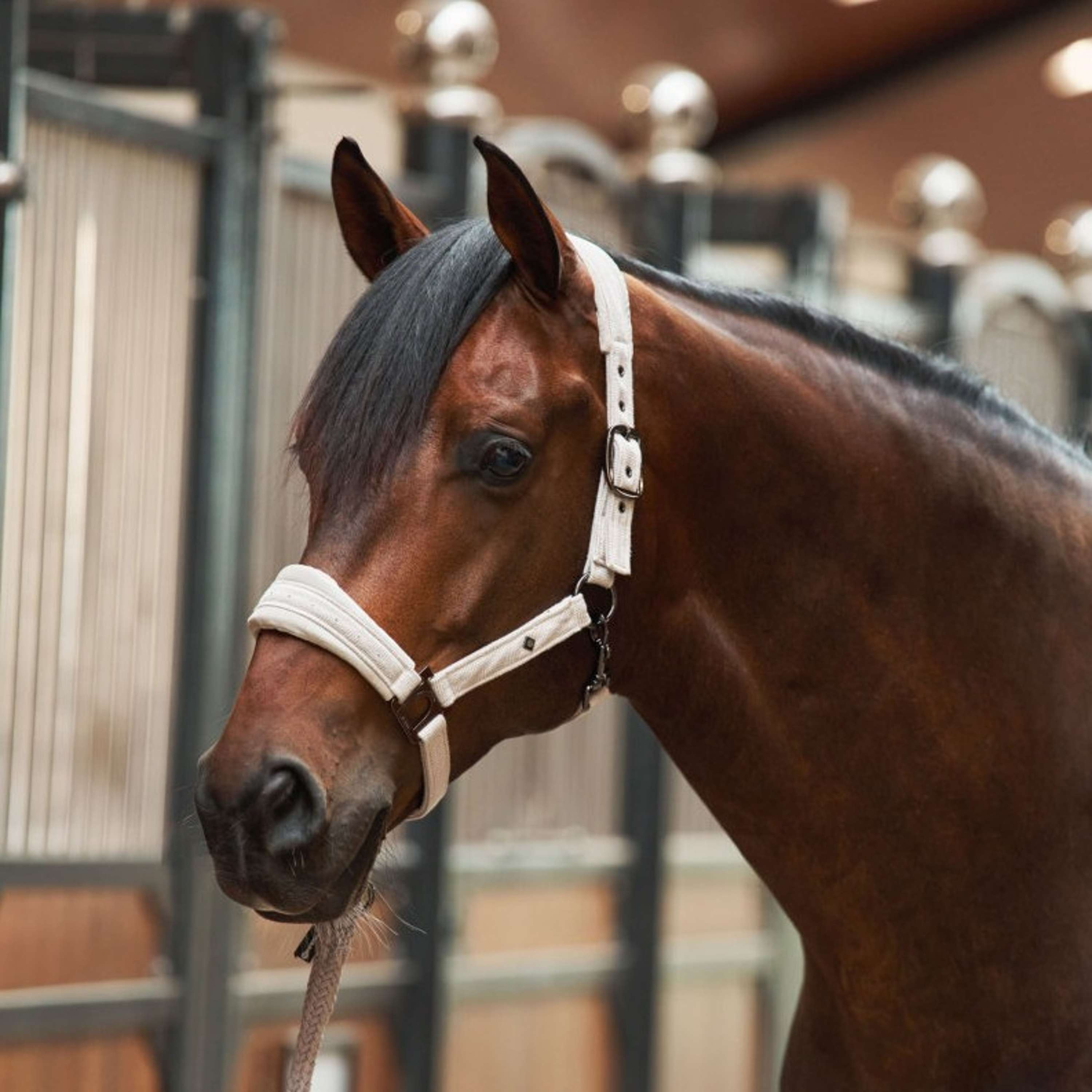 Imperial Riding Halter IRHPenny Herringbone Taupe