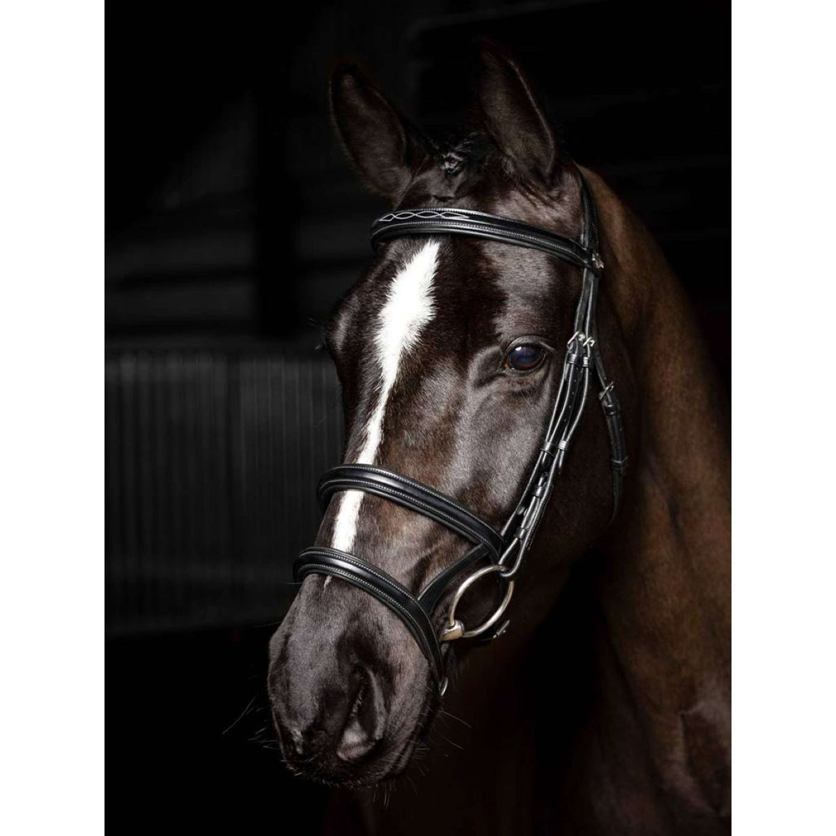 LeMieux Bridle Kudos Double Noseband Black/Silver