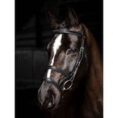 LeMieux Bridle Kudos Double Noseband Black/Silver