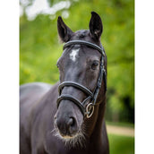 LeMieux Bridle Kudos Double Noseband Black/Silver