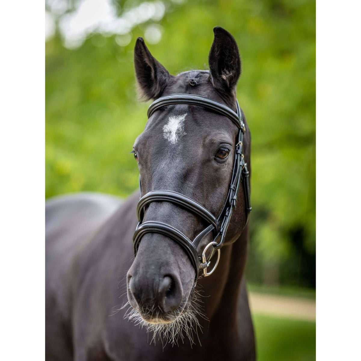 LeMieux Bridle Kudos Double Noseband Black/Silver