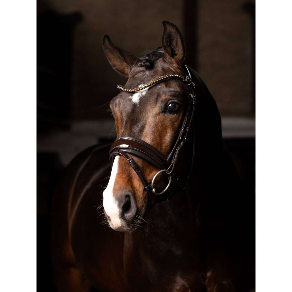 LeMieux Bridle Kudos Patent Dressage Brown