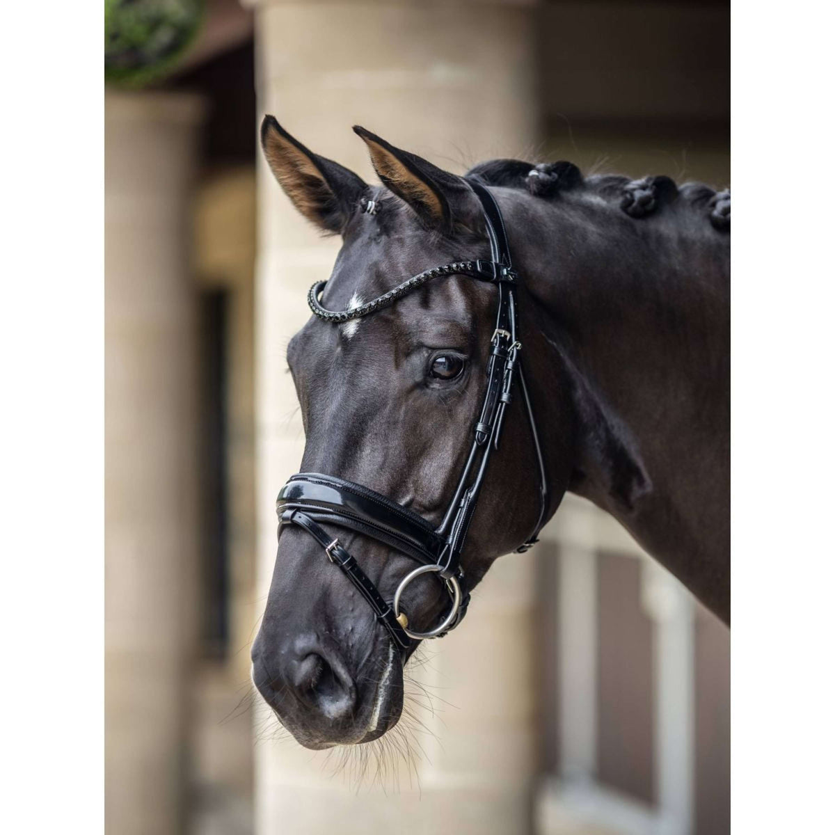 LeMieux Bridle Kudos Patent Dressage Black