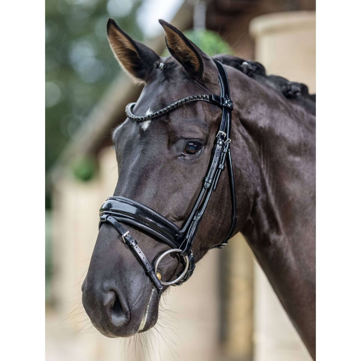 LeMieux Bridle Kudos Patent Dressage Black